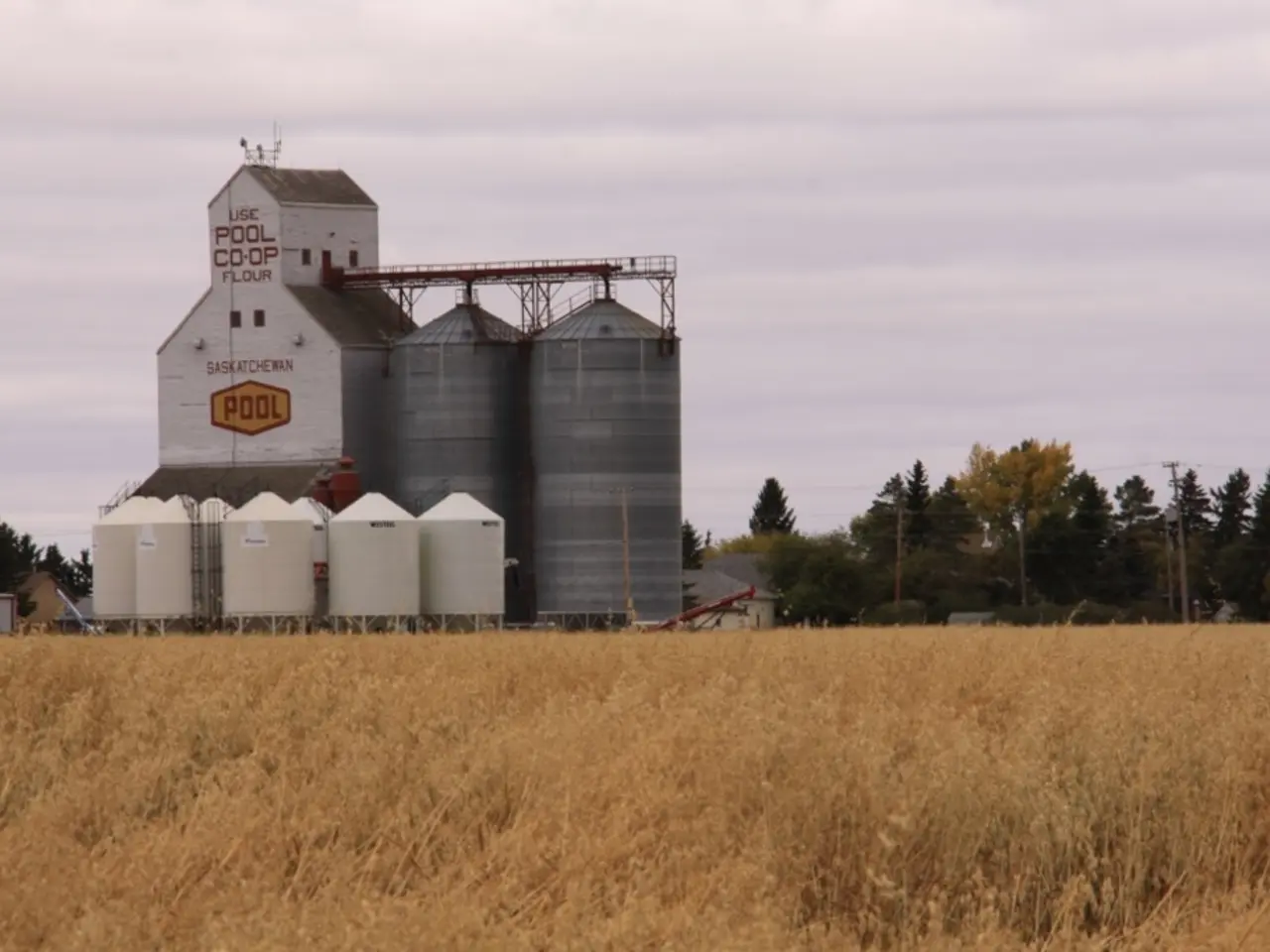 Strengthening Dollar Lack and Iranian Apprehensions Contribute to Oil Price Increase