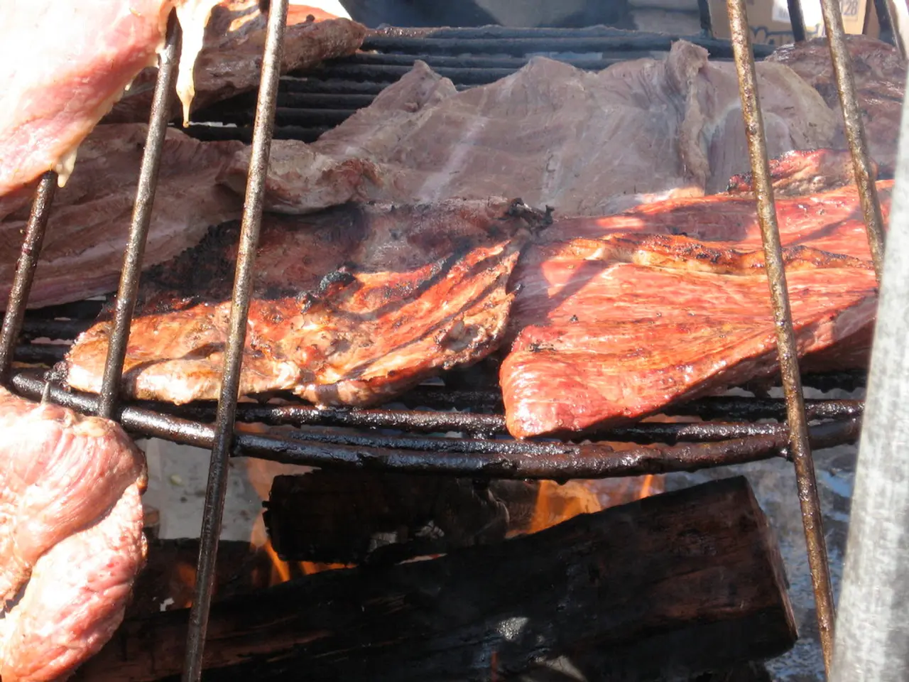 Benefits and Drawbacks of Using Biomass Boilers