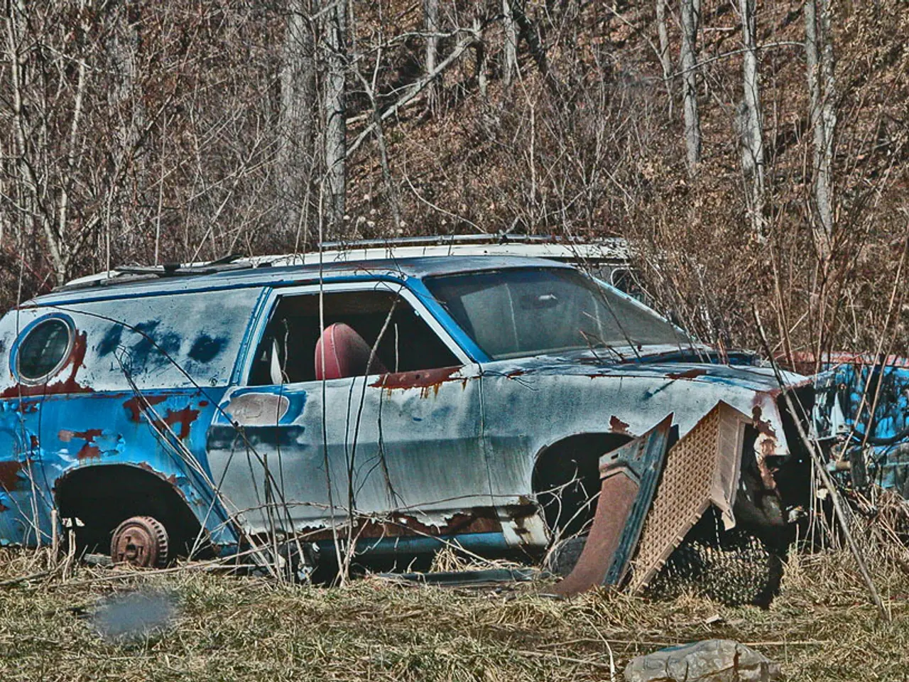 Uber's Sinister Operations: The Case of Bolt and the Deceptive Firm Fraud