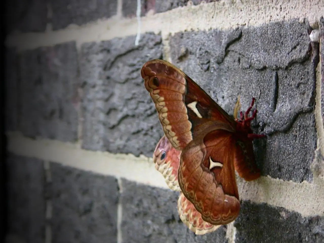 Media Mogul Jose Tolosa Discusses Empathy's Importance in Executive Management