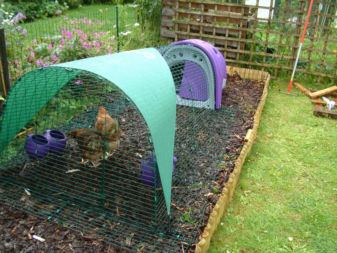 Yakut Poultry Factory Completes Second Phase of Rebuilding