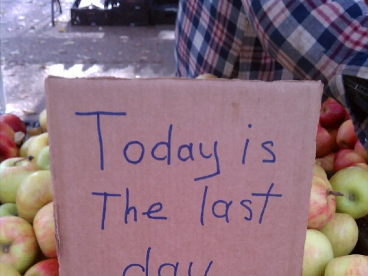 Stocks Dividend, Split, and Rights Issues Cutoff: A Total of 123 Shares Reach Ex-Date Today,...