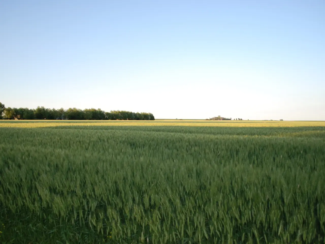 Investment fund managers in Ireland face a revision of their guidelines.