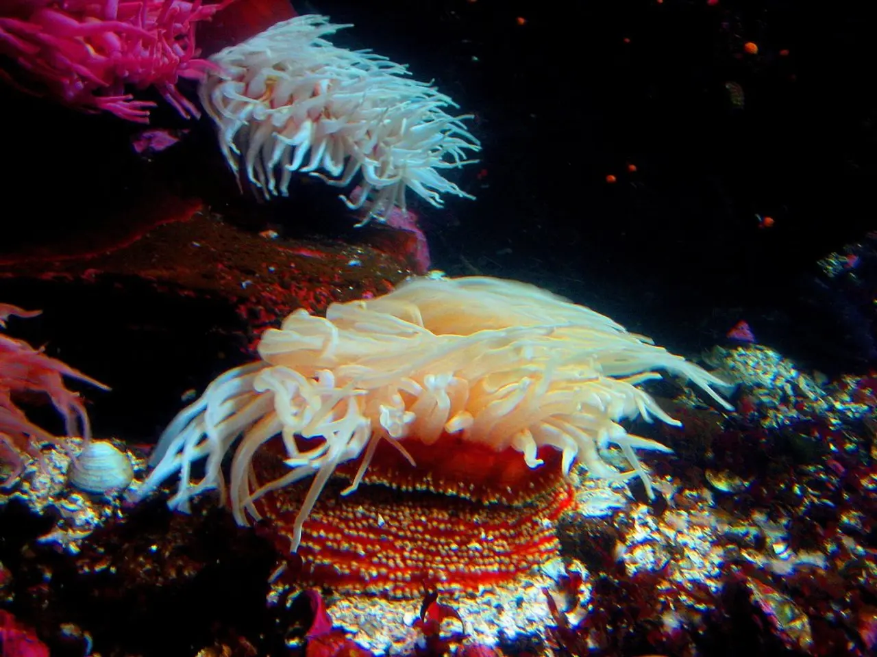 Insurance giants AXA and WTW are addressing climate change risks with actionable strategies.