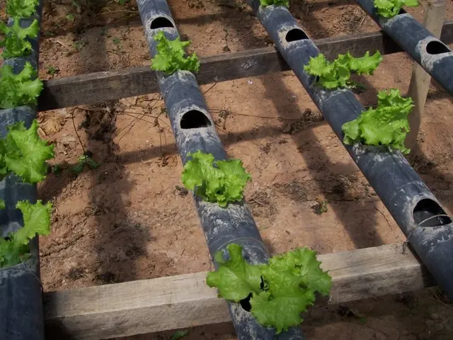 Construction site: Groundwater restrictions significantly hamper construction potential