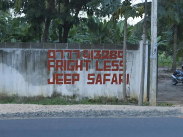 Central Bank Governor in France believes scope exists for potential rate reductions