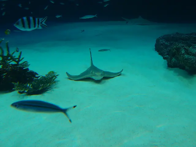 Business Environmental Protective Measures: Understanding Types, Advantages, and Restrictions