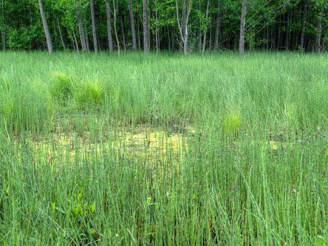 Agriculturalists voluntarily introduce alterations to their farming practices, embracing climate...