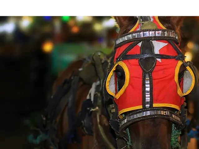 Luxury apartment accessible via elevator in Bottrop-Fuhlenbrock condo building: high-end residence...