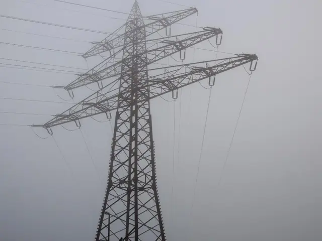 Nordeco disagrees with the proposed Davao Light takeover, deeming it as happening too early.