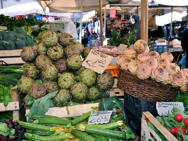 Generous Country Offers 459,000 Euro for Holidays for Less Fortunate Families