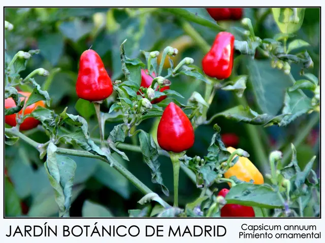 United States Lifts Sanctions on Russia's Involvement in the Expansion of Hungary's Paks Nuclear...