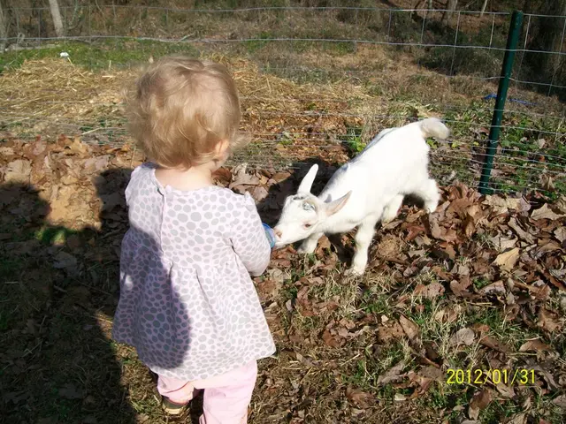 Guide on Investing in Bond Exchange-Traded Funds (ETFs)