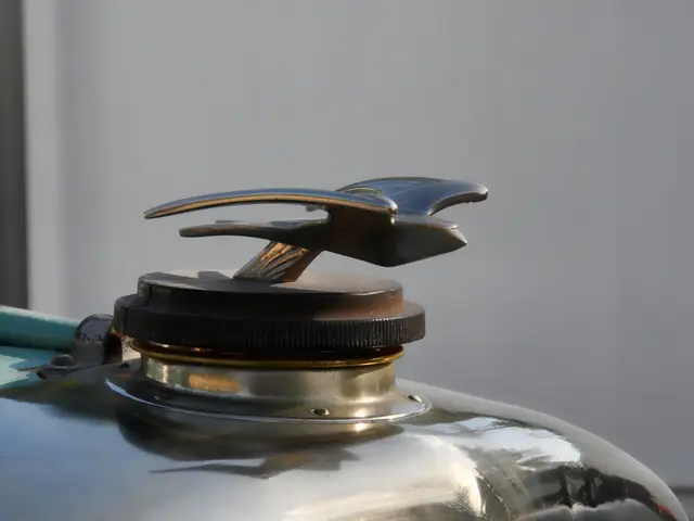 Bankruptcy proceedings initiated against auto parts provider, Bohai Trimet.