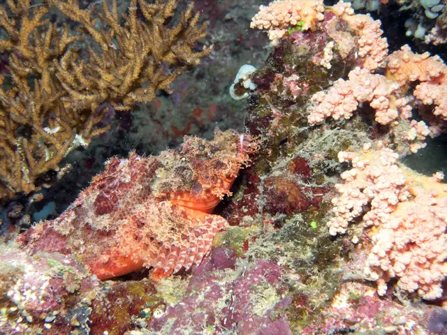 Fostering Biodiversity Conservation: Collaborative Studies Hold the Answer