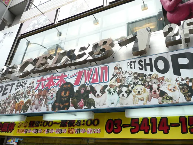 Discovered: 'P20K T-shirt Fraud' in Past Records