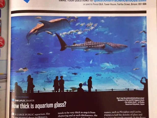 Economic Study of Religion's Impact: Guiding Financial Actions