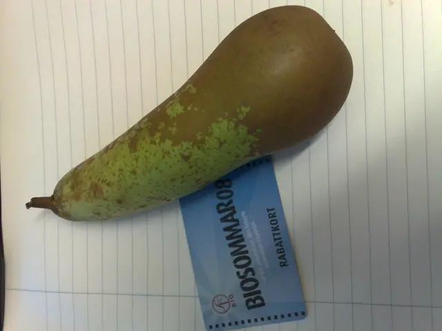 Comparison Between Chase Sapphire Preferred and Chase Sapphire Reserve: In-Depth Examination