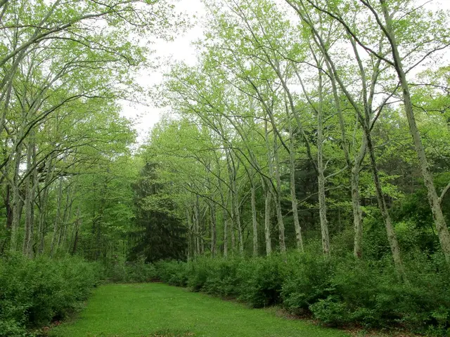 Funding of 1.2 Billion Dollars Granted for 17 New Initiatives by the Green Climate Fund Amid a...