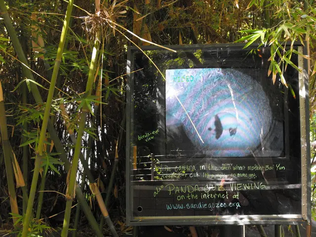 Crafting from Timber