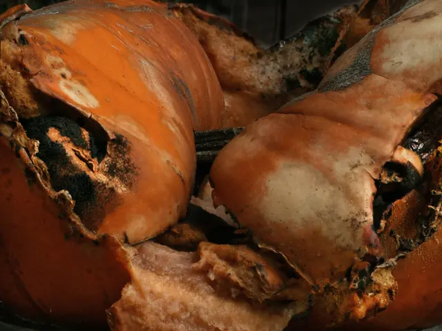 Advisor for Fisheries pays a visit to the Meat Processing Facility in Pabna, Bengal