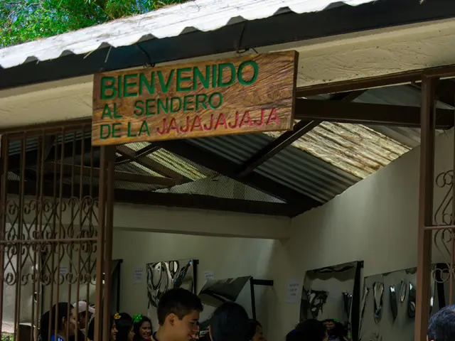 Co-op, a notable UK retailer, is reviving its IT systems after a substantial cyberattack.