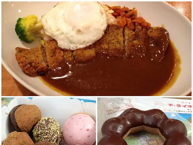 Investigating officials scrutinize the school meal contract offered in Rīga