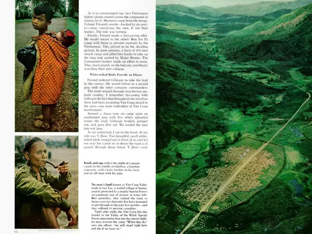 Strategies for Crafting Business Communication via Infographics