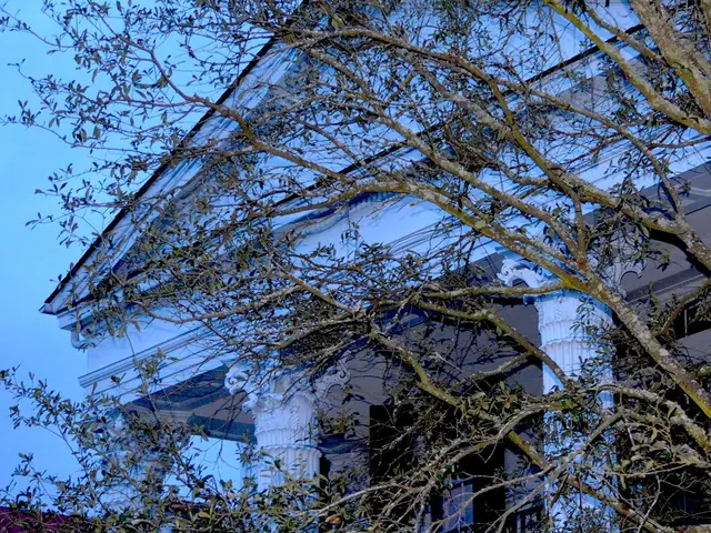 Residents of Columbus express confusion and disapproval over the tree removal initiative