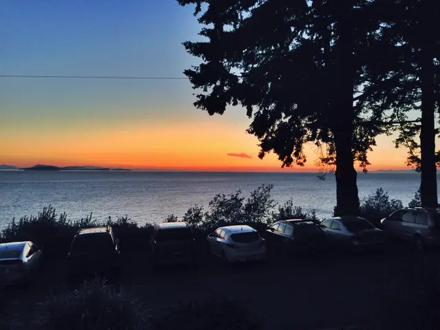 Decreasing Preferences for Environmentally-Friendly Investment Choices