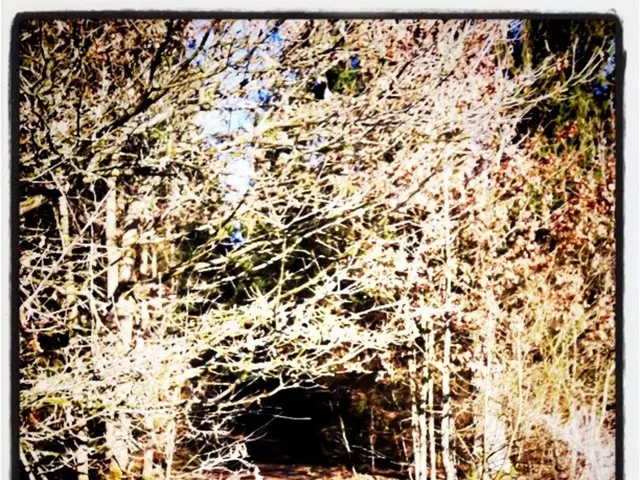 Forest-based Industry Thrives in Crawford County