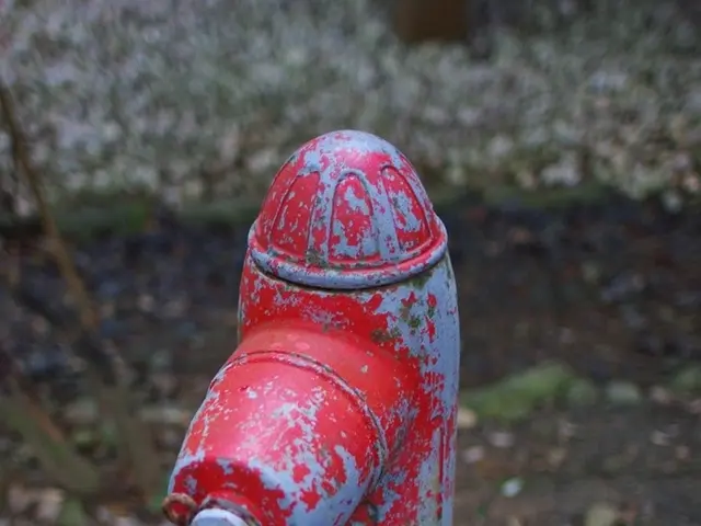 Guidelines for Setting Up a Profitable Plumbing Company: Crucial Phases for Achieving Victory