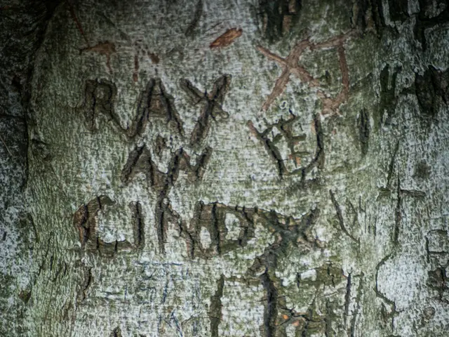 Volkswagen undergoes significant transformation, impacting every staff member