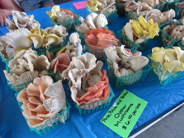 Restaurateurs and agriculturalists protesting the increase in minimum wage: might dining costs...