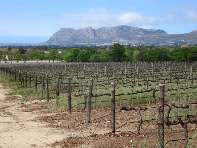 Comprehensive Study on the Evolution of Indian Farmland Values Through Decades