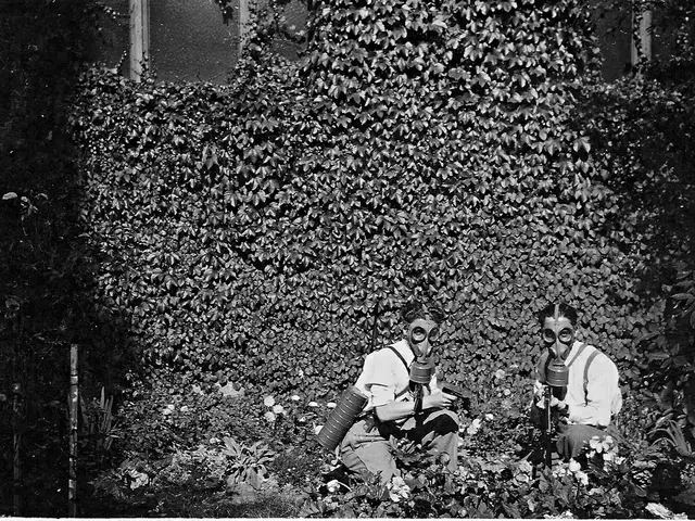 Stavropol region sees an attack on the Nevinnomyssky Azot plant