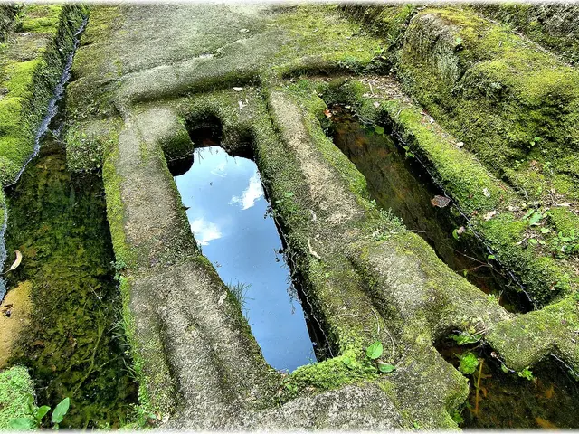 Investment chances in the Green Revolution