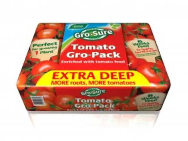 Zurich Insurance Group finalizes the acquisition of BOXX Insurance