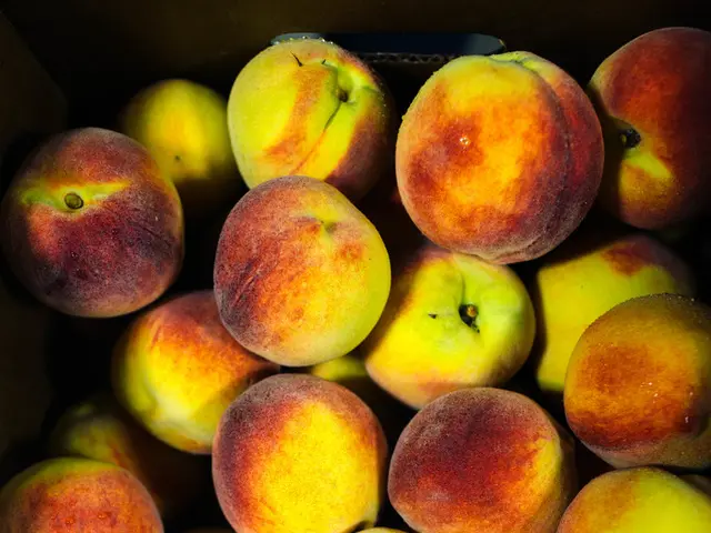 State funds amounting to 373 million tenge were withdrawn by farmers in Jambyl region as...