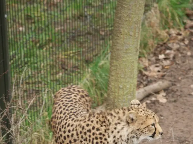 Politicians pressuring Bessent regarding reductions in Community Development Financial Institution...