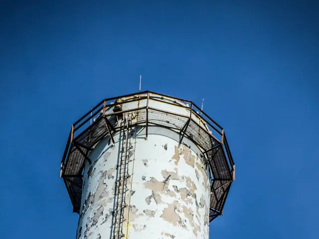 Increasing Users to Shibarium Through Vitalik's Gas Fee Limit Proposal