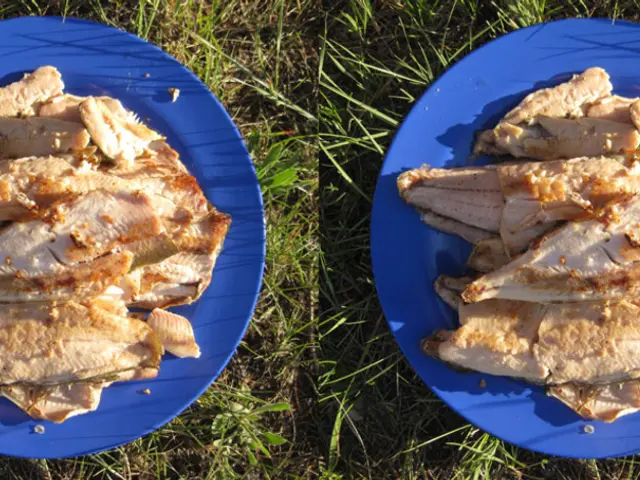 Pigmeat shipments to China reached a high point during the initial stages of the year