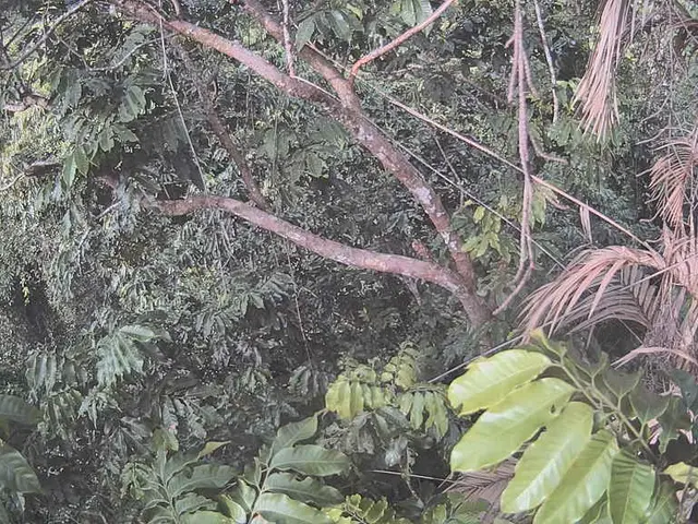 Palm Oil Derivatives Market Sales Projected to Reach USD 26.4 Billion by 2034