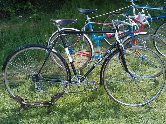 Lloyds Introduces Carbon and Biodiversity Trading Division