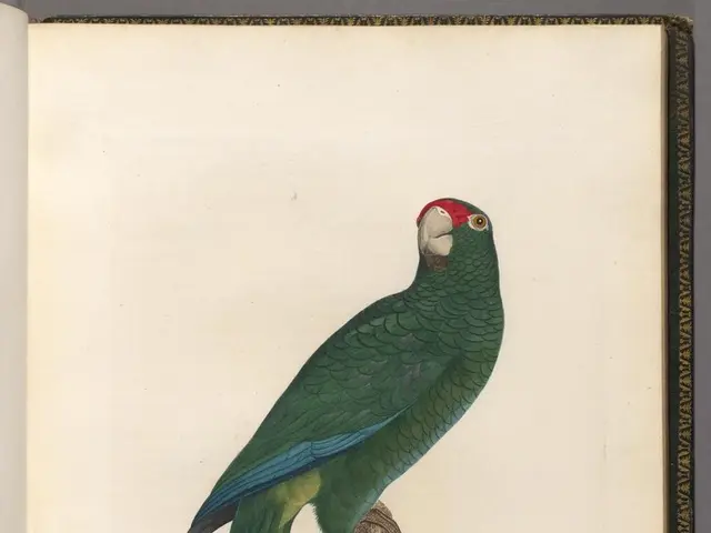 Berkshire Hathaway, under the leadership of Warren Buffett, records a 4% decline in their quarterly...