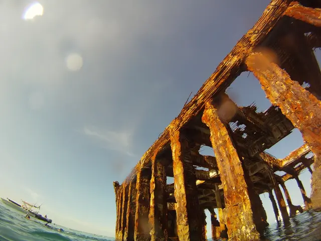 A wealthy French shipping tycoon, with connections in the United States, is displaying interest in...