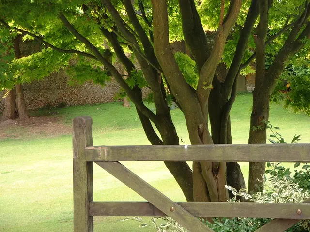 Government Honors 91 Entities for Adopting Eco-Friendly Purchasing Practices