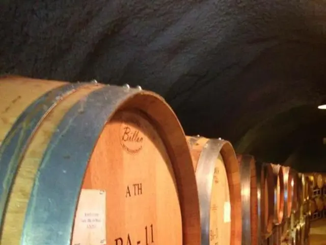 Thirty-seven border checkpoints scheduled for modernization by the year 2030