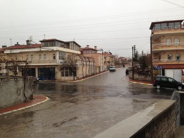 Interrogatives Posed to Paola Felcaro of Schneider Electric and Guidance Offered by Her, Regarding...