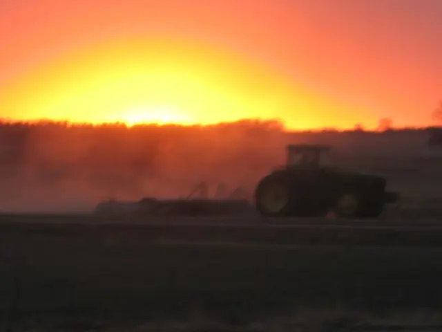 Tractors manufactured by VST Tillers experienced a 17% year-on-year increase in sales during July...